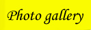 galerie foto