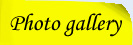 galerie foto