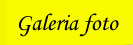 galerie foto