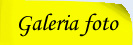 galerie foto
